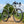 Kinesis Gravel Bicycle on a dirt path with greenery in the background, Kinesis Tripster Aluminium all terrain bike