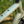 Close-up of a bicycle frame with 'Kinesis' branding against a blurred green background