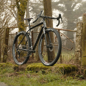 Tripster AT in the woods on a grey day
