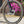 Close-up of a Kinesis Titanium GTD wheel and front fork outdoors, with a black carbon fiber wheel, silver disc brake, and pink flowers blurred in the background.