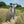 A Kinesis Fernweh MTB bicycle with black handlebars and knobby tires, positioned on a dirt path surrounded by a wheat field under a blue sky.