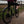 Fend Off Mudguards Shorty