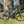 Kinesis Range 50 Gravel Medium Ex Demo