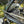 Kinesis Range Gravel XL Ex Display cassette