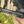 Kinesis Range Gravel XL Ex Display Praxis crank arm