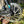 Kinesis Range Gravel XL Ex Display rear disc rotor