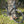 Kinesis Range Gravel XL Ex Display three quarter view