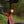 A close-up outdoor shot of a bicycle seat post with a mounted Lezyne Zecto 2 Drive Max 400 LED rear light illuminated, attached to a red and black Kinesis RTD bicycle frame against a blurred green background.