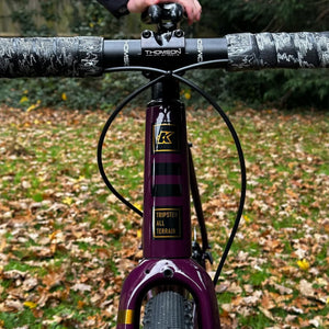 Chris H Tripster AT front view readers rides