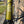 Kinesis R2 Black Gold 54cm Ex-Demo Bike