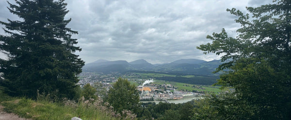Scenic view of a town from a high vantage point with trees and mountains in the background.