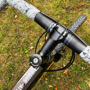 Steve Behr Tripster AT Plus overhead view of the cockpit