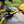 Close-up of yellow and black Wholegrain Cycles bungee with black plastic quick-release buckles resting on a dark grey bag outdoors.